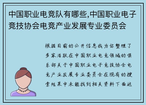 中国职业电竞队有哪些,中国职业电子竞技协会电竞产业发展专业委员会